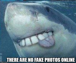Shark with human teeth and caption that says There are no Fake Photos Online